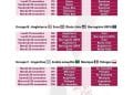 FOOTBALL – Sénégal-Pays Bas donnera le coup d’envoi du Mondial Qatar 2022 le 21 Novembre