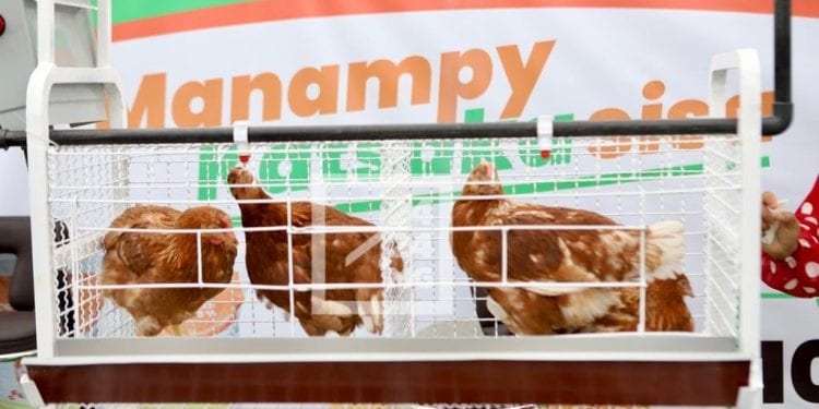 EVENEMENT – Les problématiques de l’élevage au cœur des conférences-débats organisées dans le cadre de la 13ème édition de la Foire de l’élevage, de la pêche et de l’agriculture