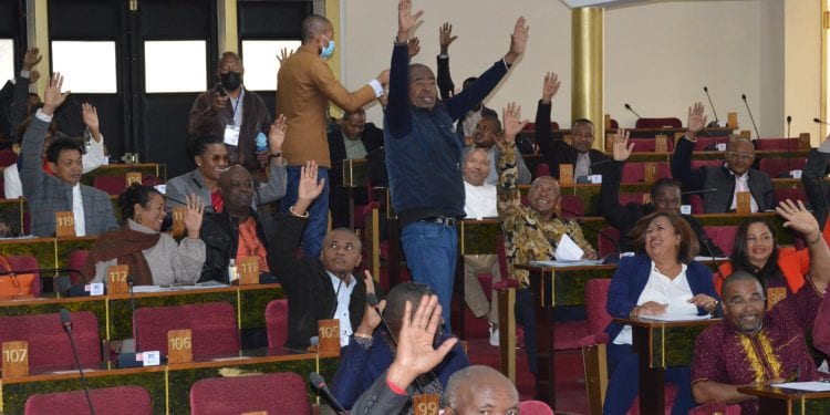 ACTIONNARIAT – Feu vert des députés pour la participation de l’Etat au capital de la société Neho, promotrice du projet Sahofika