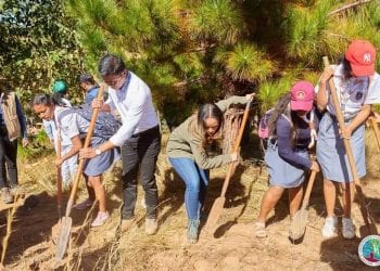 DÉVELOPPEMENT DURABLE – Le ministère de l’Environnement appelle à l’installation de pare-feu pour sécuriser les forêts des feux