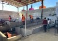 DÉVELOPPEMENT – La Banque africaine de développement recommande à Madagascar d’orienter davantage ses politiques d’incitation vers le soutien au développement d’industries de substitution de produits alimentaires importés