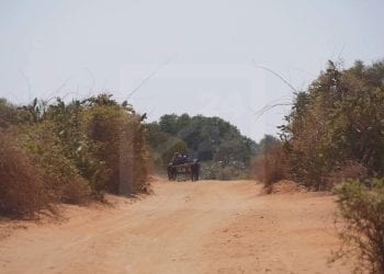 FINANCEMENT – 1,9 milliard de dollars sur 2,8 milliards de dollars d’engagement de la Banque mondiale pour des projets nationaux dans le Cadre du partenariat pays 2017-2021 avec Madagascar non décaissés