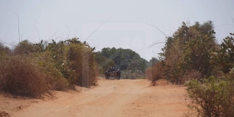 FINANCEMENT – 1,9 milliard de dollars sur 2,8 milliards de dollars d’engagement de la Banque mondiale pour des projets nationaux dans le Cadre du partenariat pays 2017-2021 avec Madagascar non décaissés