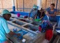 AIDE HUMANITAIRE – 350 points d’eau construits depuis 2017 à Antananarivo, Toliara et Mahajanga grâce au projet Alliance pour l’eau et le développement du gouvernement américain
