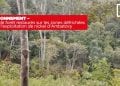 ENVIRONNEMENT – 60 ha de forêt restaurés sur les zones défrichées suite à l&rsquo;exploitation de nickel d&rsquo;Ambatovy