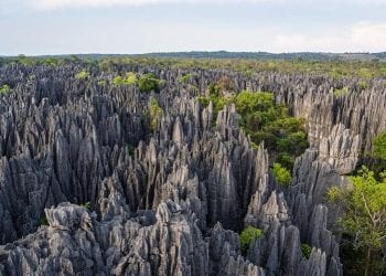 TOURISME – La Confédération du tourisme de Madagascar (CTM) s’insurge contre la recrudescence de l’insécurité dans plusieurs régions de Madagascar suite à l’attaque de « Dahalo » subi par un guide touristique à Bekopaka.