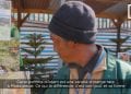 PEPINIERE – Des arbres fruitiers atypiques pour votre consommation personnelle et pour embellir votre jardin