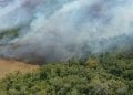 INCENDIE – La plupart des 980 points de feux signalés le mardi 11 Octobre notés dans l’Est et le Sud-Est, selon le ministère de l’Environnement et du développement durable