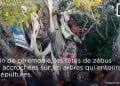 CULTURE – A la découverte du « Vangy tany manintsy » des Sakalava Anjoaty de Vohémar