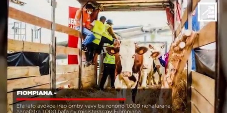 VAOVAO MINUTE FLASH 11 OKTOBRA 2022