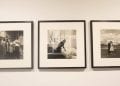 ARTS – L’histoire de la photographie africaine et malgache rassemblée en une exposition avec « Esprit Revue Noire, Une Collection Fondatrice »