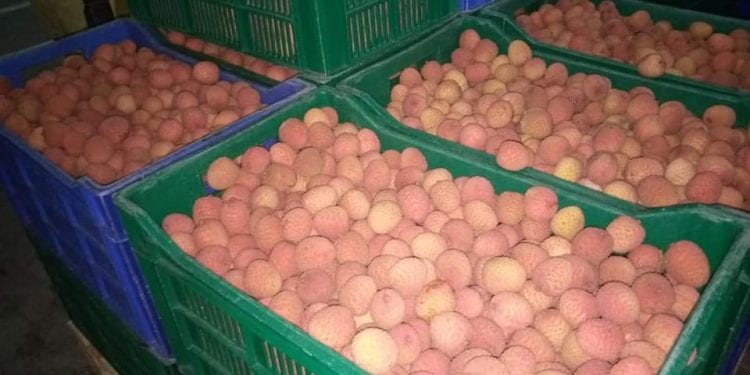 COMMERCE – Autorisation de collecte de litchis pour 1.075 opérateurs de litchis dans la région Atsinanana, près de 14.000 tonnes sont prévus être exportés cette année
