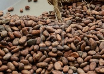 COMMERCE – Les produits agricoles et forestiers exportés soumis à un impôt de 3% de leur prix