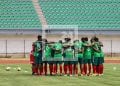 FOOTBALL – Les Menas du Niger et les Diables rouges du Congo Brazzaville au menu des Barea en amical à Tunisie pour la préparation au Chan