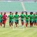 FOOTBALL – Les Barea A’ n’auront finalement plus que deux matchs amicaux en Tunisie avant le Championnat d’Afrique des nations (Chan), selon la Fédération malgache de football