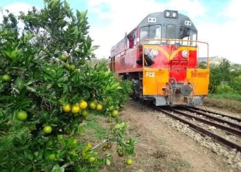 TRANSPORT FERROVIAIRE – Une locomotive de Madarail à envoyer à Fianarantsoa pour assurer la ligne Fianarantsoa – Côte Est en attendant la réparation du système de freinage des locomotives espagnoles