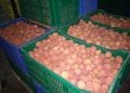 COMMERCE EXTÉRIEUR – Le litchi malgache continue de se vendre sur le marché européen