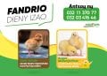 Fandrio dieny izao ny zanak&rsquo;akoho foy iray andro an&rsquo;ny AGRIFARM, na ho an&rsquo;ny zanak&rsquo;akoho mpanatody lava MAH&rsquo;ATODY na zanak&rsquo;akoho fakàna nofo SUPER MAFONJA PLUS. Aza misalasala miantso mivantana ny 📞 032 03 476 46