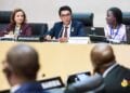 ÉNERGIE – Andry Rajoelina partage avec ses pairs africains son projet de doter 36 districts sur 119 de parcs solaires de 50MW