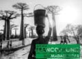 EVENEMENT – Madagascar à l&rsquo;honneur à l&rsquo;Alliance Française de Minneapolis à l’occasion du Mois de la Francophonie
