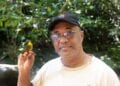 ENVIRONNEMENT – Le Dusky Tetraka, un oiseau chanteur déclaré perdu, retrouvé à Madagascar après 24 ans