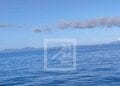 NAUFRAGE A AMBILOBE – L’APMF évoque la piste d’un mouvement soudain de houle comme à l’origine de l’accident maritime qui a tué plus de 20 personnes