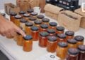 BIO – Un miel écoresponsable pour préserver les forêts