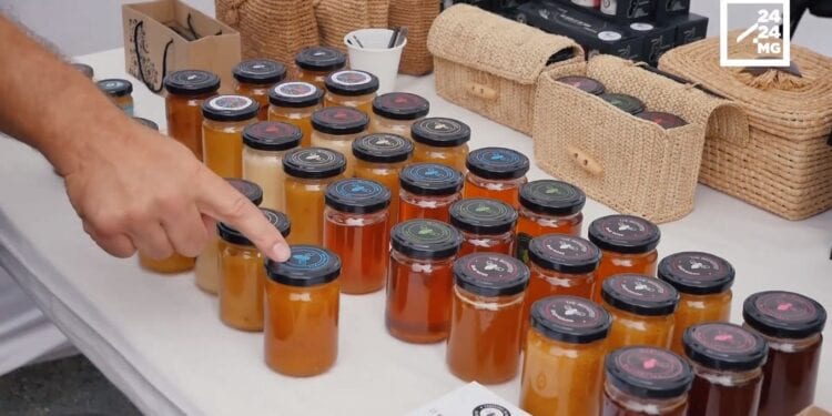 BIO – Un miel écoresponsable pour préserver les forêts
