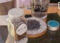 DIETETIQUE – Le Chia pour prendre soin de soi