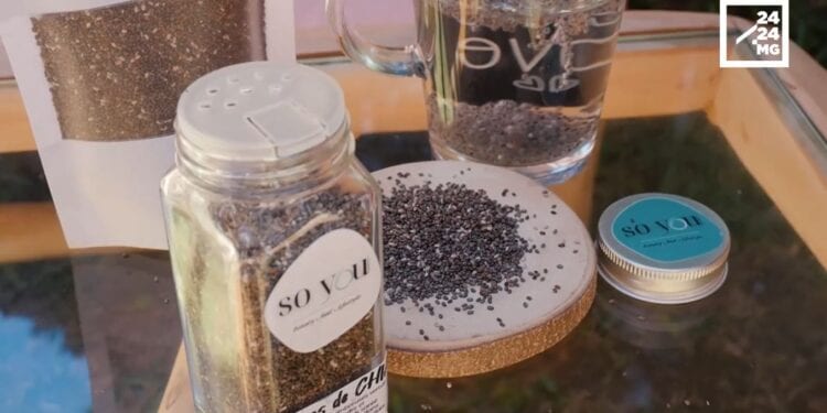 DIETETIQUE – Le Chia pour prendre soin de soi