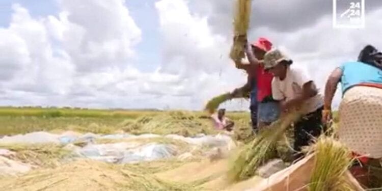 L’Etat s’engage à affecter au moins 10% de son budget dans l’agriculture, l’élevage et la pêche