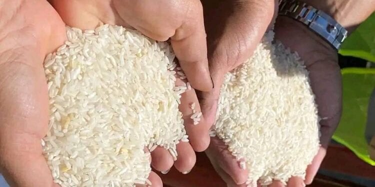 CONSOMMATION – Plus de 150 000 tonnes de riz importés durant les deux premiers mois de l’année