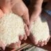 CONSOMMATION – Plus de 150 000 tonnes de riz importés durant les deux premiers mois de l’année