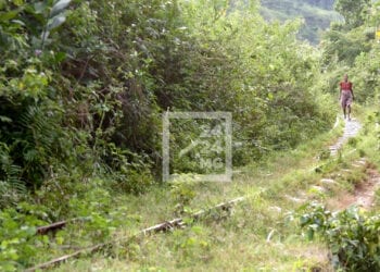 TRANSPORT FERROVIAIRE – Reprise attendue des activités de la ligne ferroviaire Fianarantsoa Côte-Est après Pentecôte