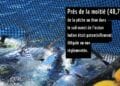 Océan Indien : Près de la moitié de la pêche thonière potentiellement illégale ou non règlementée