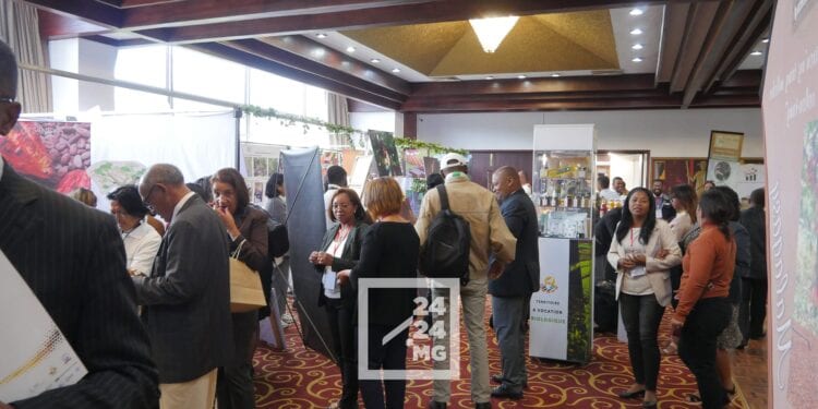 MANIFESTATION ECONOMIQUE – Les produits d’excellence de Madagascar en démonstration de force au Forum B2B Agribusiness
