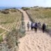 CULTURE DE RENTE – 4 910 tonnes de fibres de sisal exportées par Madagascar en 2022