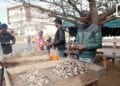 ALIMENT – Rolin Razafimasy, vendeur d’huîtres de Fort Dauphin