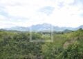 RECHERCHES – Plus de 25 000 publications scientifiques sur la biodiversité de Madagascar depuis 1990