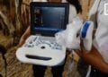 TECH – Quand les appareils d’échographie animale débarquent à Madagascar