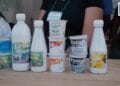 ALIMENTATION – Les Yaourts bio made in Madagascar de la ferme de Lanière