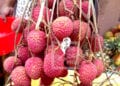 COMMERCE – Le prix de vente minimum du litchi aux exportateurs fixé à 1 300 ariary le kilo dans l’Atsinanana et l’Analanjirofo