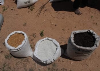 AGRICULTURE – Des intrants agricoles pour près de 40 000 paysans depuis novembre