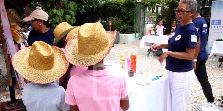 DIVERTISSEMENT – Un jeu d’art culinaire pour transmettre aux enfants la passion des aliments malgaches