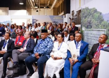 ENVIRONNEMENT – Un “Pavillon Madagascar” à la COP28