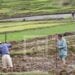 Le secteur du commerce et le secteur agricole priorisés par les banques dans leur octroi de crédits