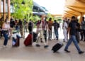 TOURISME – 205 956 touristes arrivés à Madagascar les 11 premiers mois de 2023