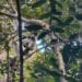 TOURISME – 29 000 touristes en visite au parc national d’Andasibe