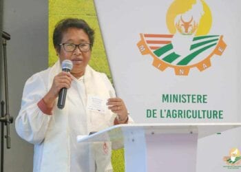 AGRICULTURE – Un financement de plus de 11 milliards d&rsquo;ariary de l&rsquo;Usaid pour la promotion de la culture de variétés améliorées de sorgho, de millet et d’arachide