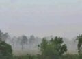 MOROMBE – Des élèves contraints de suivre leurs cours sous les arbres en plein air